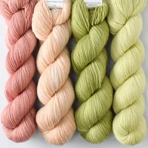 Abiquiu, Lacewing, Muslin, Snakehead - Yummy 2-Ply Quartet