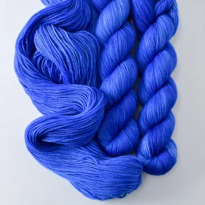 Atwood - Yummy 2-Ply - Wild Iris